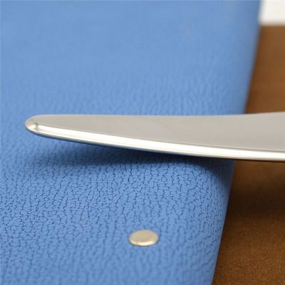 Caixa de Gua Sha em forma de pássaro de aço inoxidável para massagem corporal e massagista