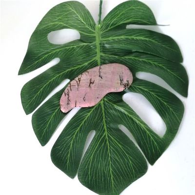 Massagem de Saúde do Corpo Essential Natural Rhodochrosite Gua Sha Escrava Massagista para Função de Saúde