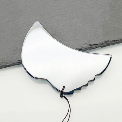 Plata Terahertz Placa de beleza Escrava ferramenta de massagem para uma experiência luxuosa e rejuvenescente
